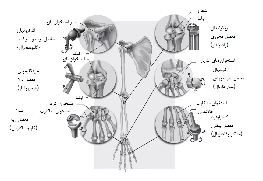 دانلود نسخه کامل کتاب حرکت شناسی آرتی فلوید ترجمه فارسی pdf